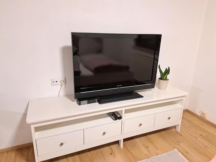 Ferienwohnung Zanier Gaissau  Esterno foto